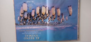 El Reino Animal(National Geographic)