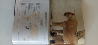 El Reino Animal(National Geographic)