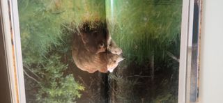 El Reino Animal(National Geographic)