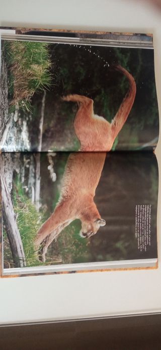 El Reino Animal(National Geographic)