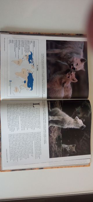 El Reino Animal(National Geographic)