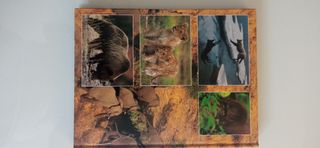 El Reino Animal(National Geographic)