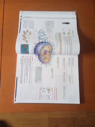 Libros 1°ESO