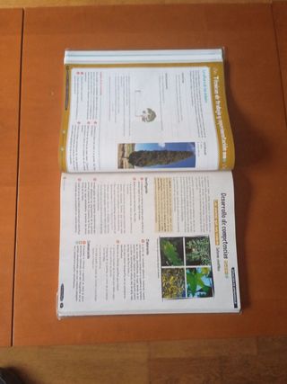 Libros 1°ESO