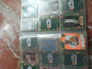 Cromos Panini rewild y álbum