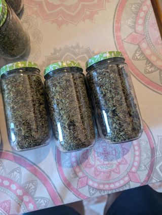Oregano,de la palma Muy bueno para comidas