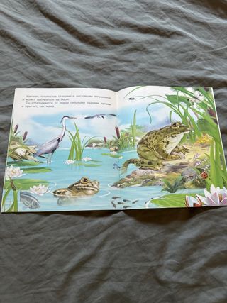 Libro en ruso para niños