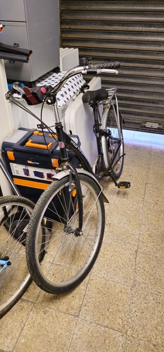 Bicicleta paseo