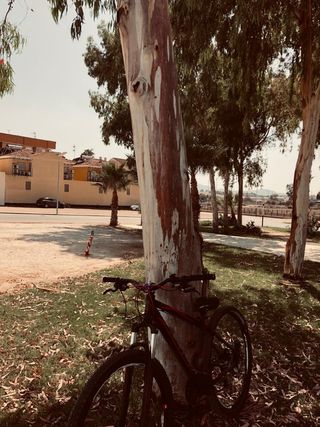 Bicicleta eleven 29 ,perfecto estado  