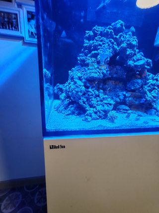 Acuario marino completó