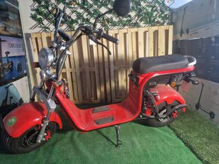 GRAN VARIEDAD DE CITYCOCOS Y PRECIOS - 1500/2000W