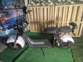 GRAN VARIEDAD DE CITYCOCOS Y PRECIOS - 1500/2000W