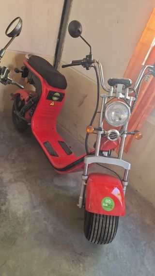 GRAN VARIEDAD DE CITYCOCOS Y PRECIOS - 1500/2000W