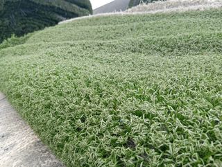 Césped artificial reciclado ♻️