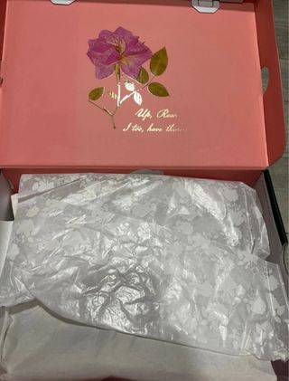 Nike Air Jordan 3 Retro Wings