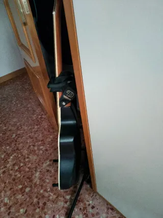 Guitarra acústica ,carbono.