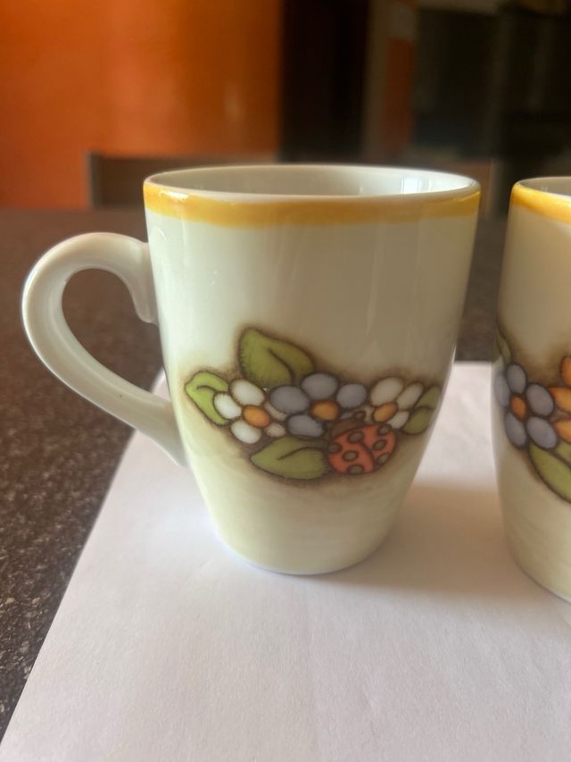 due tazze per colazione thun