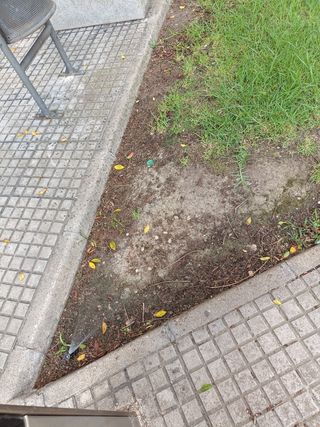 Riego aspersor goteo etc ..