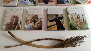 Lote de 14 libros NUEVOS A ESTRENAR