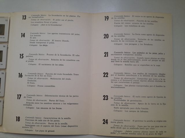 DIAPOSITIVAS NATURALEZA-BOTÁNICA EGB