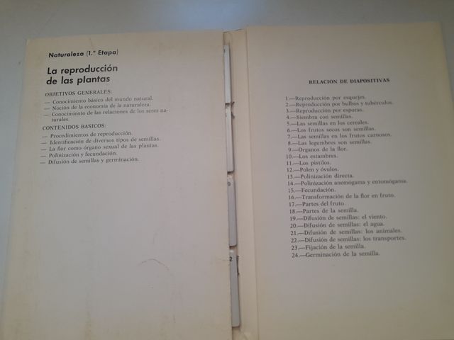 DIAPOSITIVAS NATURALEZA-BOTÁNICA EGB