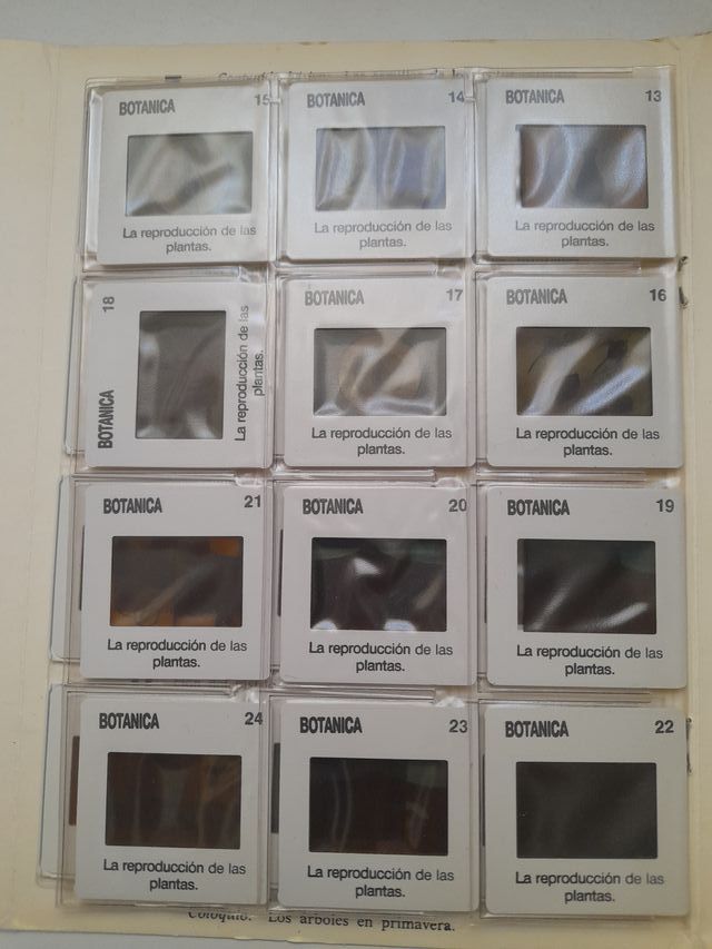 DIAPOSITIVAS NATURALEZA-BOTÁNICA EGB