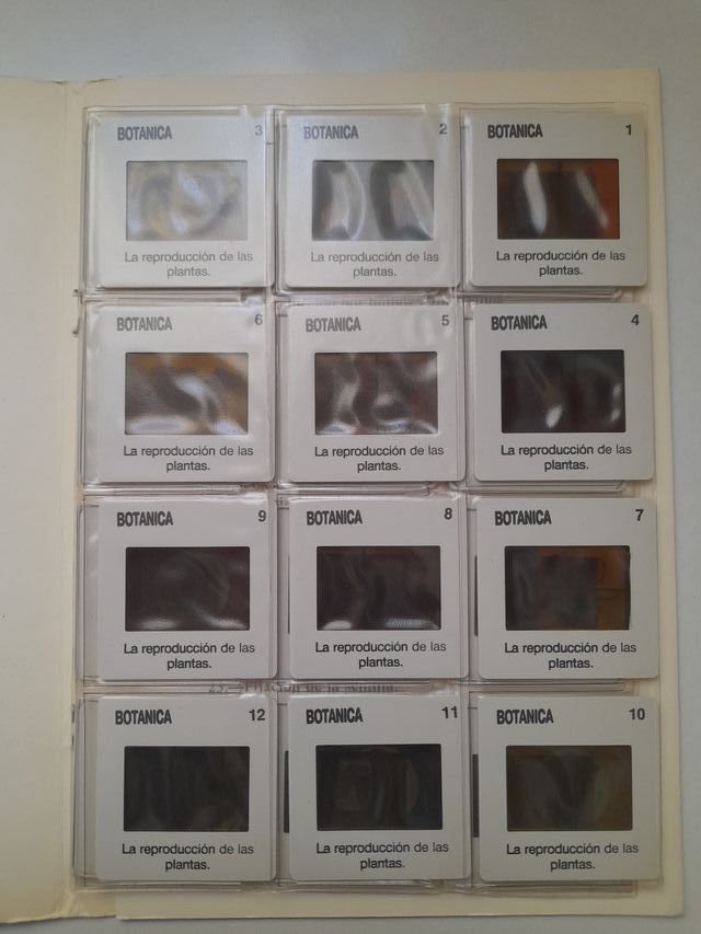 DIAPOSITIVAS NATURALEZA-BOTÁNICA EGB