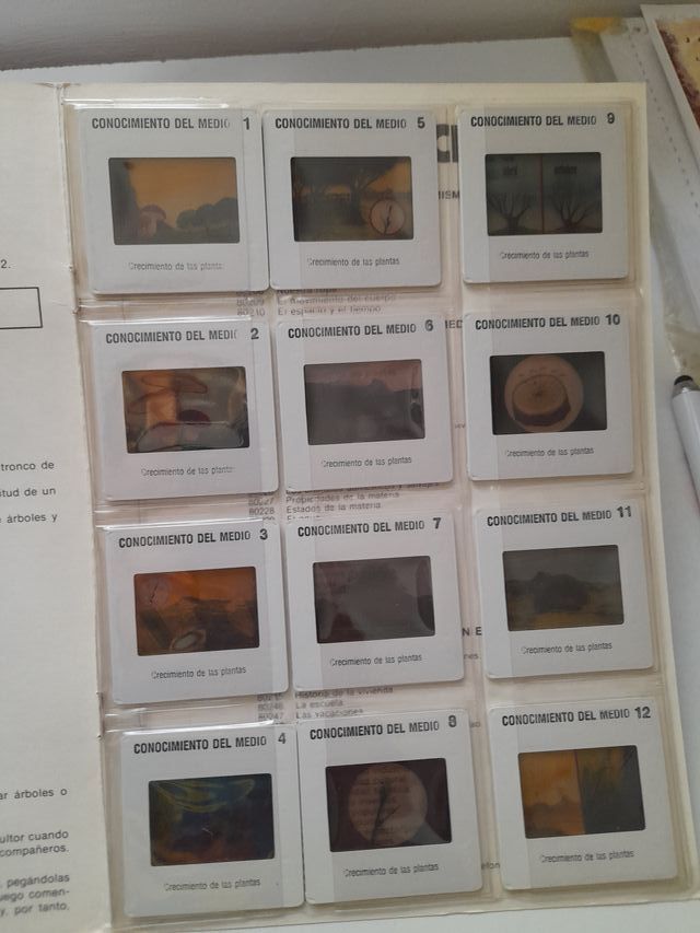 DIAPOSITIVAS NATURALEZA-BOTÁNICA EGB