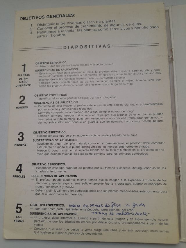 DIAPOSITIVAS NATURALEZA-BOTÁNICA EGB