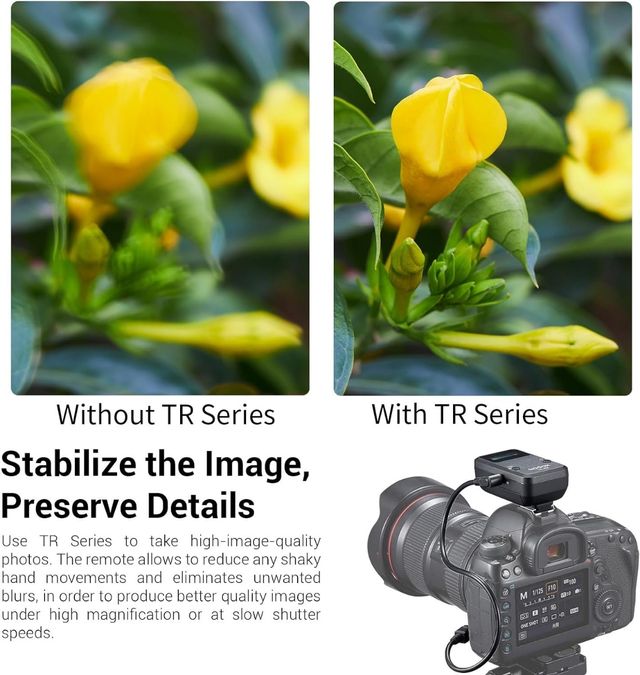 Godox Kit de Control Remoto fotografía