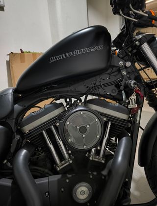 Harley Davidson 883XL