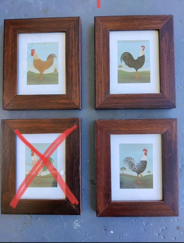 Quadri piccoli con galli, galletti per cucina