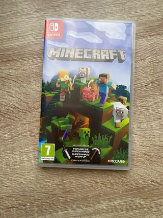 Minecraft
