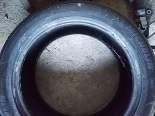 Neumáticos michelin