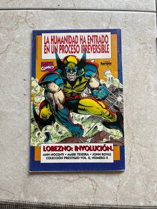Comics Marvel / Cerco de Nieblas N6-N7