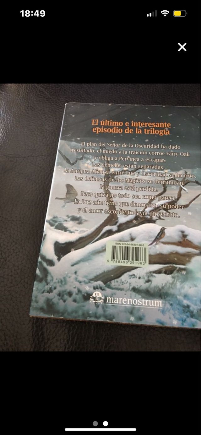 LOTE 4 LIBROS COLECCIÓN FAIRY OAK (HADAS)