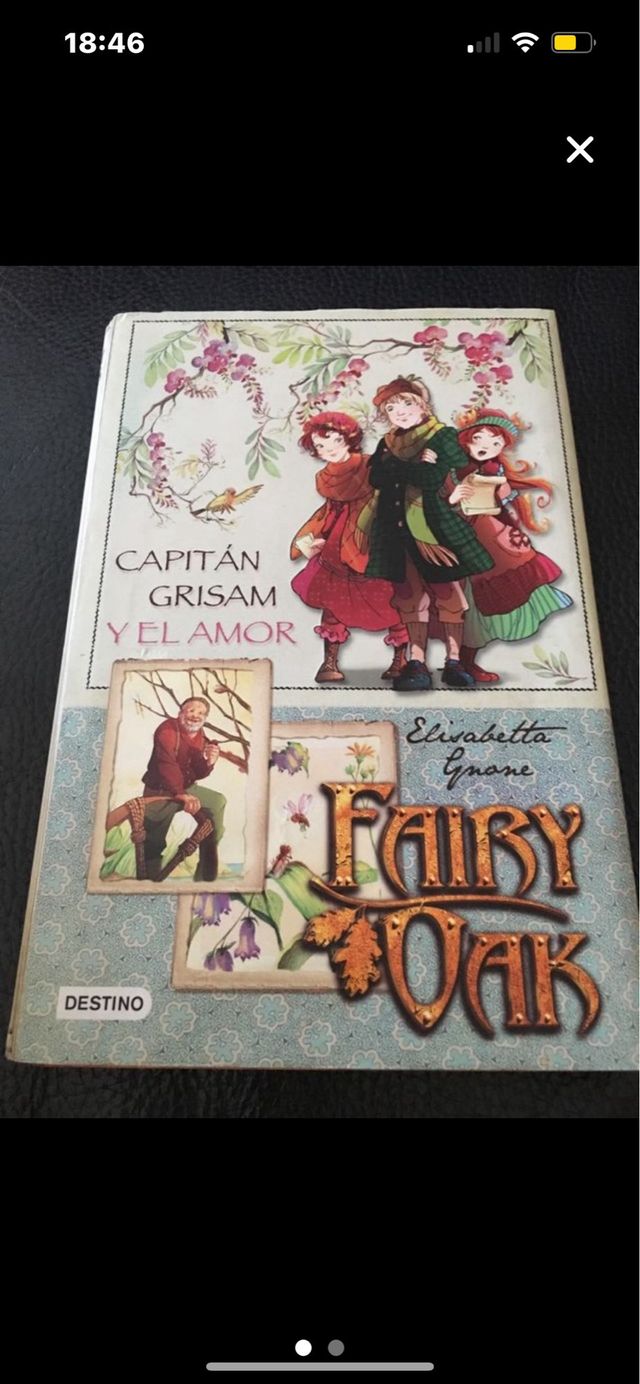 LOTE 4 LIBROS COLECCIÓN FAIRY OAK (HADAS)