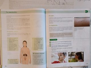 CIENCIAS NATURALES 4º PRIMARIA Saber Hacer Contigo