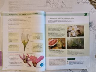 CIENCIAS NATURALES 4º PRIMARIA Saber Hacer Contigo