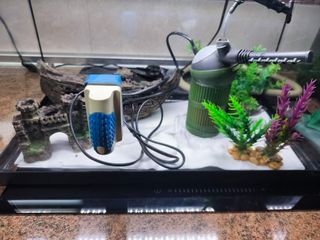 Acuario 