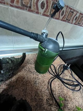 Acuario 