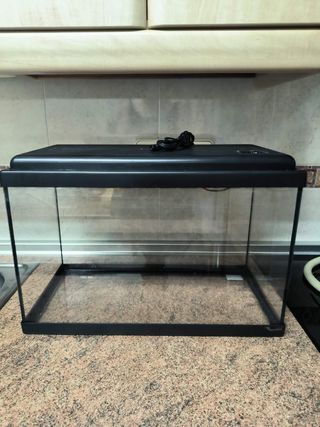 Acuario 