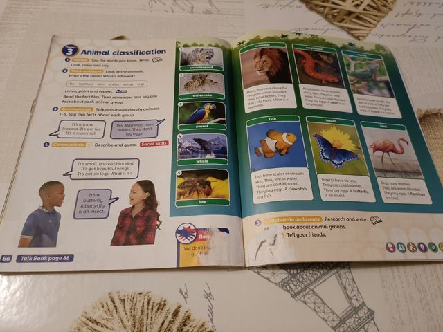 INGLÉS. 4º PRIMARIA. AMAZING ROOFTOPS