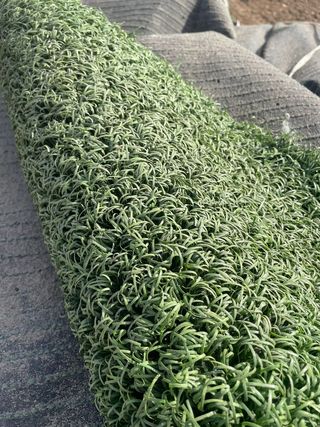 Monofilamento césped artificial ♻️