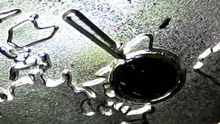 🇿🇲🪙 ZAMBIA 1000 KWACHA