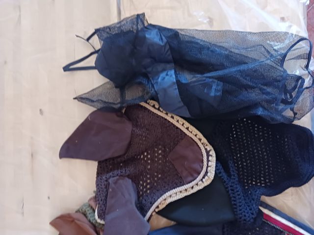 Lote de 3 orejeras caballo