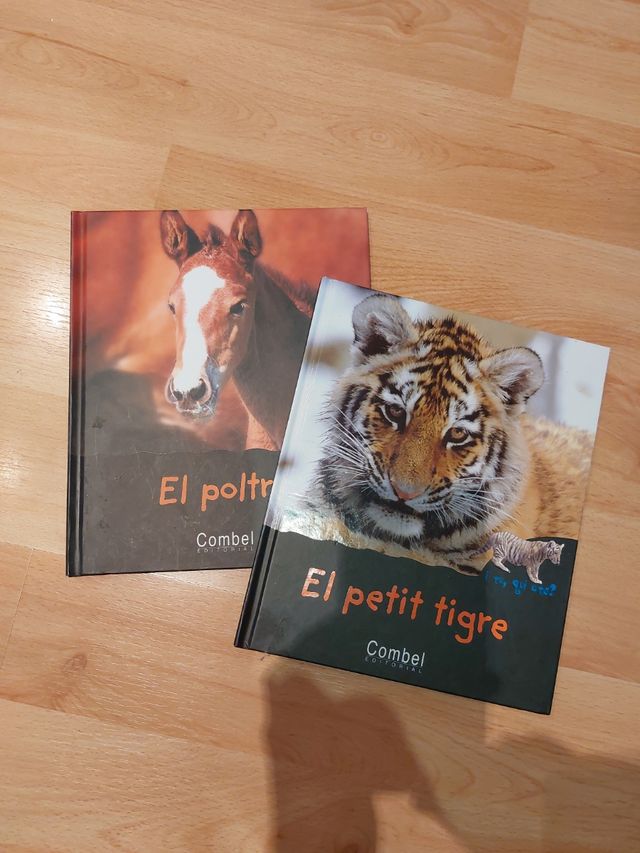 El Petit tigre i el Poltre