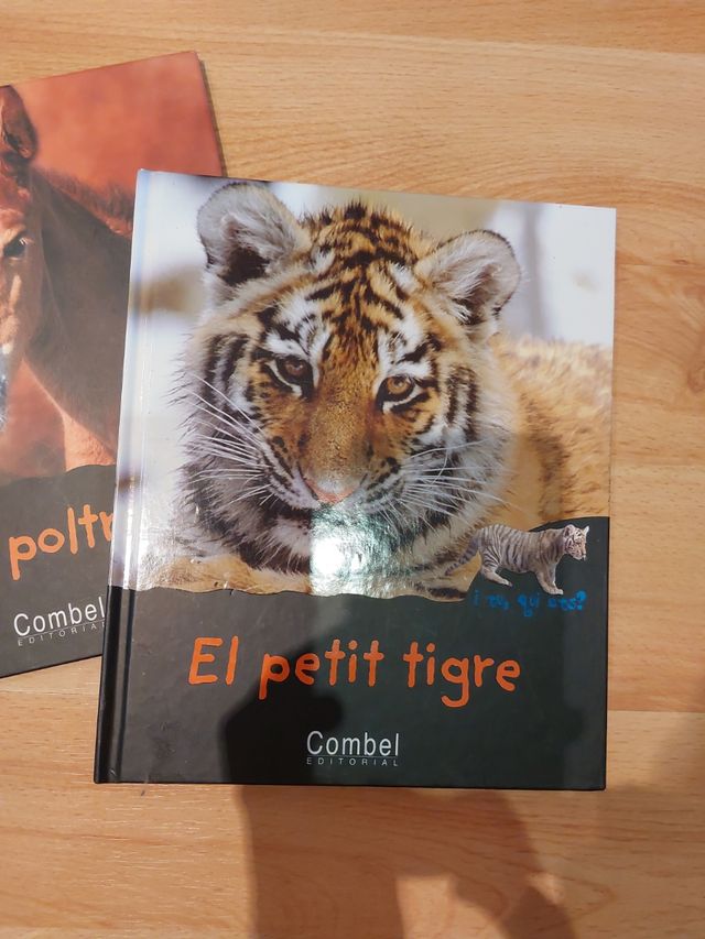 El Petit tigre i el Poltre