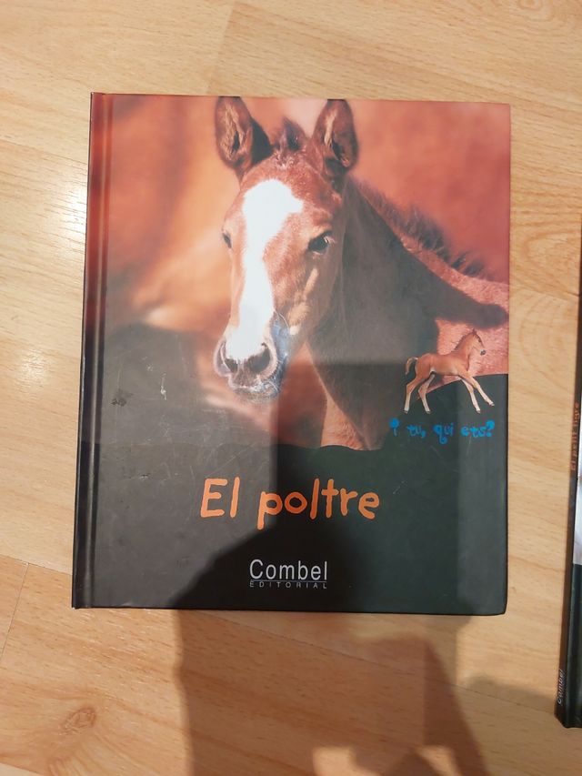 El Petit tigre i el Poltre