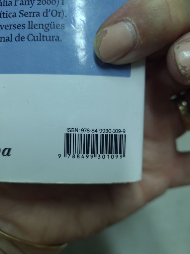 L'estiu de l'anglès llibre